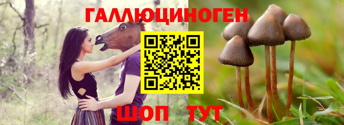 Галлюциногенные грибы MAGIC MUSHROOMS Майский