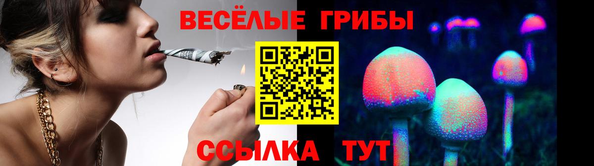 Галлюциногенные грибы Magic Shrooms  Вход с VPN  Галлюциногенные грибы ЛСД  Майский 
